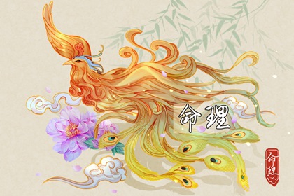 老皇历,老皇历择吉日,择吉皇历老黄历